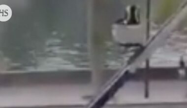 Video näyttää, miten Louvren varkaat pakenevat nosturin avulla