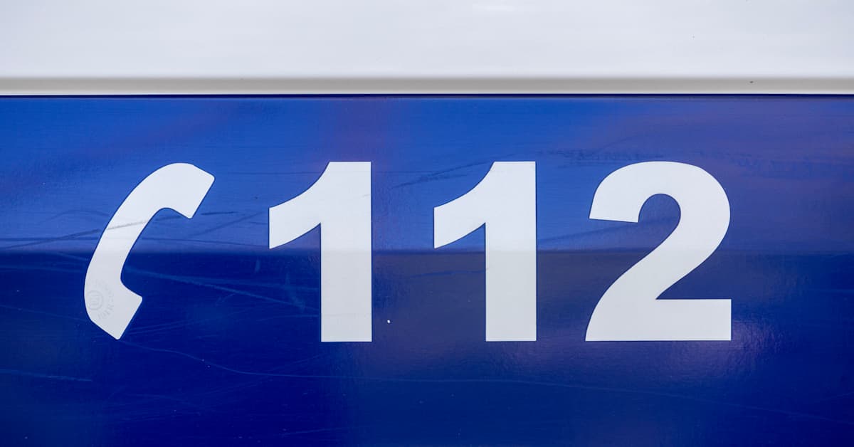 Henkilöauto ja karhu törmäsivät Liperin Viinijärvellä | Uutisia lyhyesti