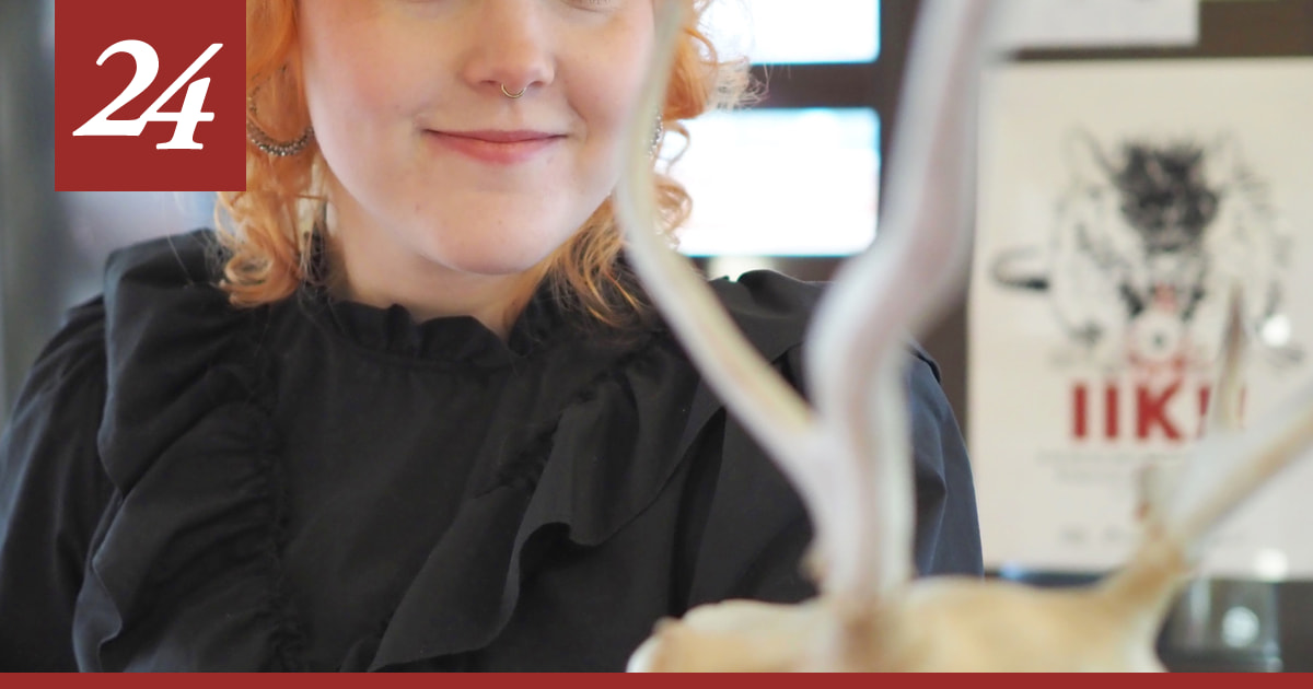 IIK!!-festivaali teki kauhua vihanneesta Inka Koutaniemestä genren suurkuluttajan – katso tästä kauhufanin leffavinkit halloweeniksi