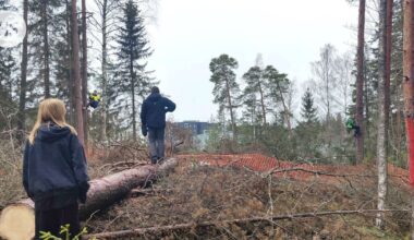 Oikeustieteilijät pitävät Stansvik-päätöstä ennakkotapauksena | HS.fi