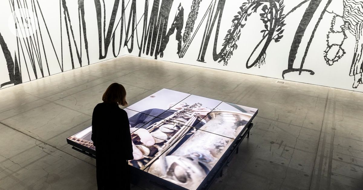 Ars Fennica ja kolme muuta näyttelyä, jotka kannattaa nähdä tänä viikonloppuna