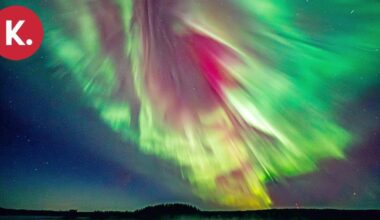 Mikä meitä puhuttelee luontokuvissa? Sen tietää työnohjaaja ja luontokuvaaja Leena Aijasaho | Teemat