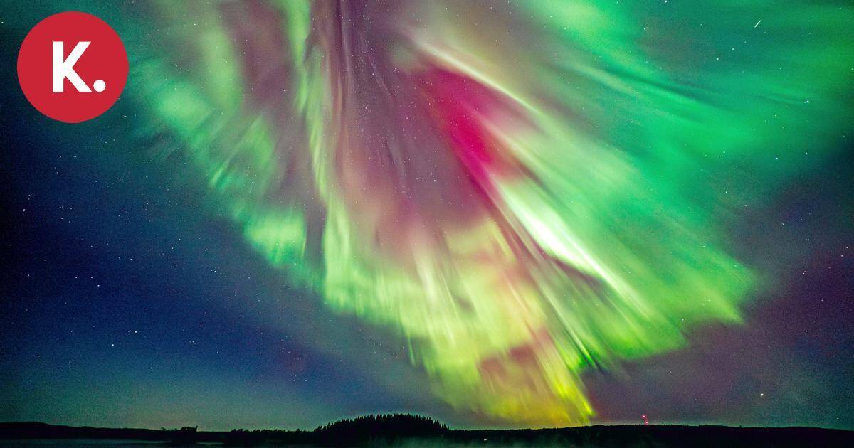 Mikä meitä puhuttelee luontokuvissa? Sen tietää työnohjaaja ja luontokuvaaja Leena Aijasaho | Teemat