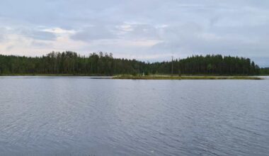 Kaksi henkilöä ylitti Ilomantsissa laittomasti itärajan Venäjältä Suomeen | Kotimaa