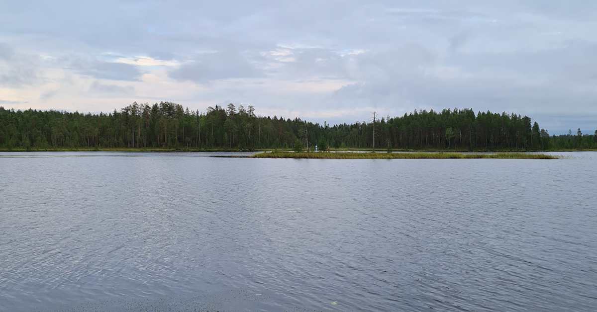 Kaksi henkilöä ylitti Ilomantsissa laittomasti itärajan Venäjältä Suomeen | Kotimaa