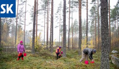 Jättitutkimus: Suomalaiset kokevat maailman vähiten vihaa