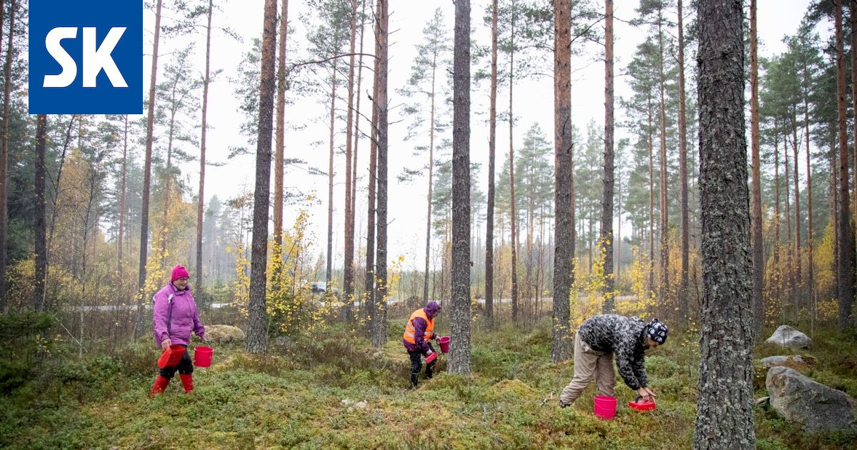 Jättitutkimus: Suomalaiset kokevat maailman vähiten vihaa