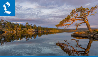 Rovaniemeläisen Atro Saukon kuva Inarista palkittiin sarjavoittajana Vuoden luontokuva -kilpailussa – koko kilpailun voitti valokuvaaja Ossi Saarinen