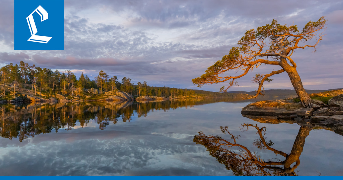 Rovaniemeläisen Atro Saukon kuva Inarista palkittiin sarjavoittajana Vuoden luontokuva -kilpailussa – koko kilpailun voitti valokuvaaja Ossi Saarinen