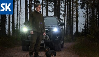 Rollesta tuli metsästyskauden neljäs uhri Satakunnassa – Animaatio näyttää, miten susireviirit täyttivät Satakunnan