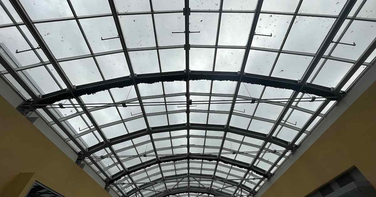 Kauppakeskuksen lasinen katto peittyi lokinkakkaan Mikkelissä - ”Luonto hoitaa puhdistuksen”, sanoo kiinteistöpäällikkö | Etelä-Savo