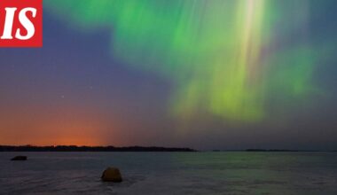 Tunnettu luontokuvaaja Pekka Vainio on kuollut
