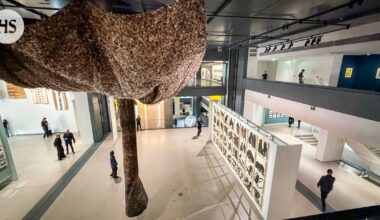 Fondation Cartier -nykytaidemuseo avautui yleisölle lauantaina Pariisissa Louvren vieressä