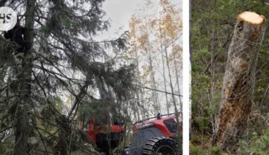 Poliisia vastustaneet aktivistit vapautettiin: Helsingin kaupungin virkamiehille syyte