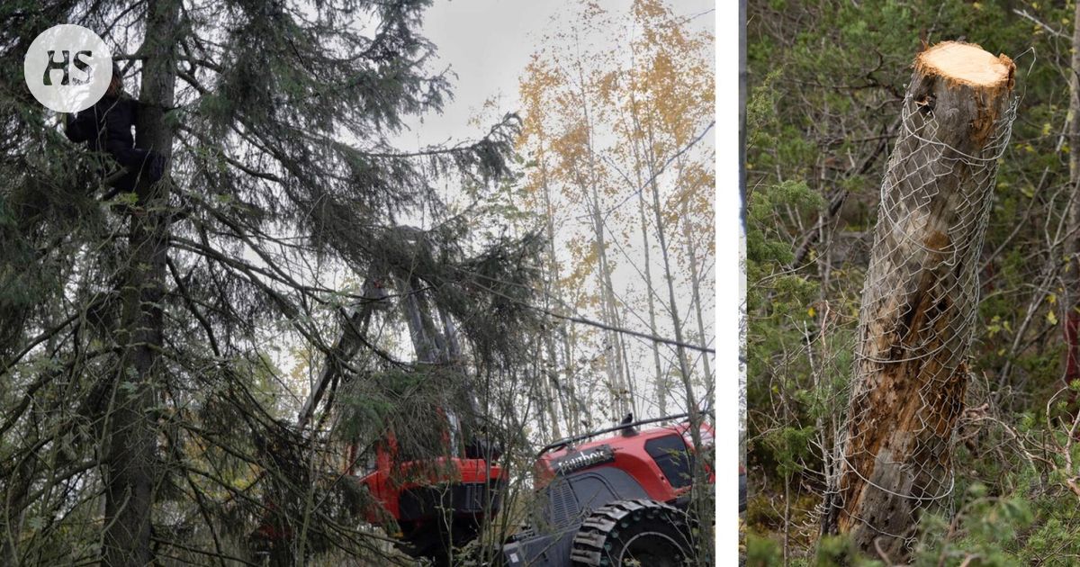 Poliisia vastustaneet aktivistit vapautettiin: Helsingin kaupungin virkamiehille syyte