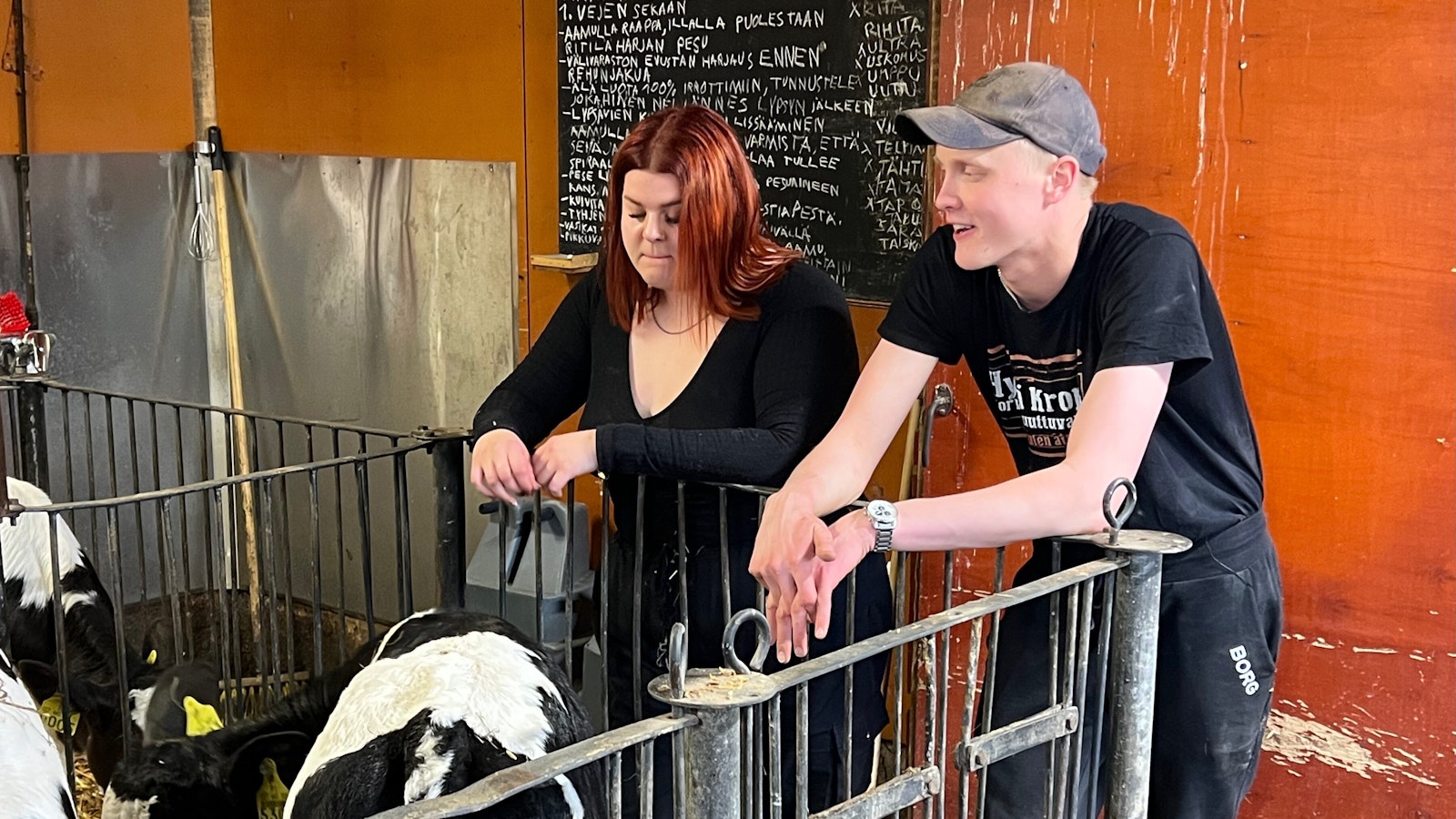 Maajussien farmiviikolla koetaan katkeraa itkua ja kiihkeitä suudelmia – ”Ei täällä ketään voi väkisin pitää” - Koti