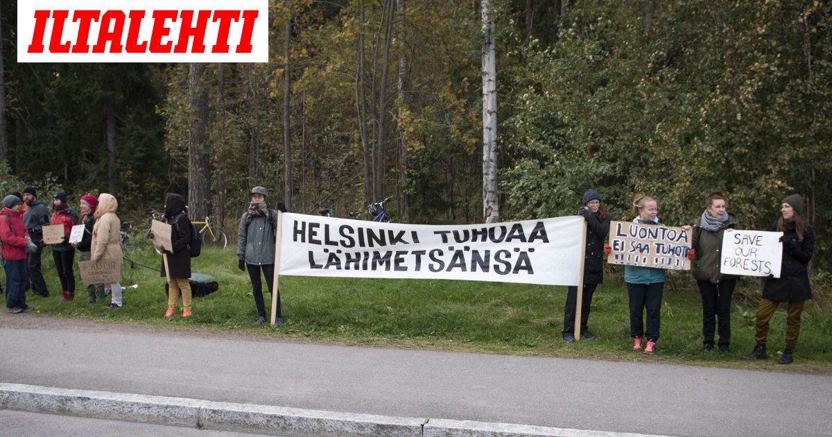 Syyte: Noro turmeltiin