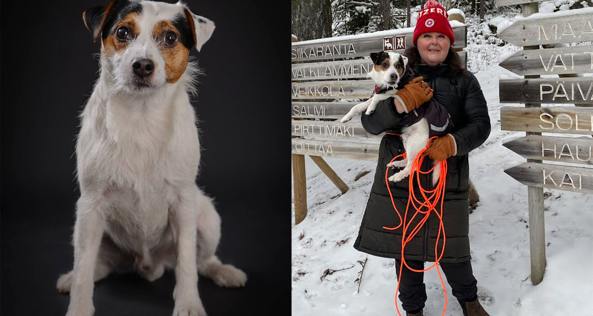 Zorro-koiran uskomaton päättäväisyys pelasti puskaan tuupertuneen rouvan