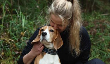 Lopella koiran ja omistajan kimppuun hyökännyt susi on lopetettu | Kotimaa