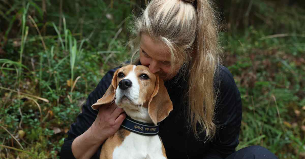 Lopella koiran ja omistajan kimppuun hyökännyt susi on lopetettu | Kotimaa