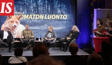 Ilta-Sanomien Uskomaton luonto -illassa luontoasiantuntijat analysoivat lukijoiden lähettämiä videoita