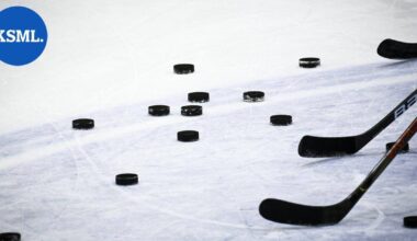 MTV: Liiga tarjoaa kahta eri sarjamallia osakasseuroilleen marraskuun lopun yhtiökokouksessa | Urheilu