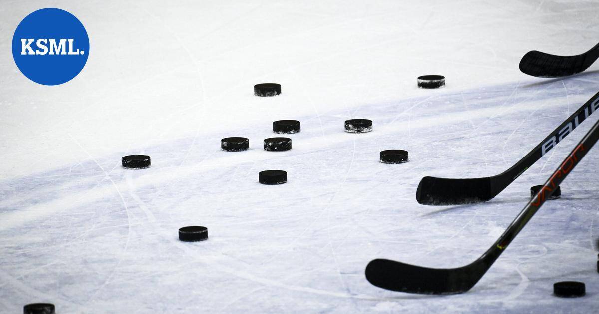 MTV: Liiga tarjoaa kahta eri sarjamallia osakasseuroilleen marraskuun lopun yhtiökokouksessa | Urheilu