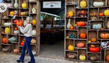Amerikkalaiset käyttävät tänä vuonna ennätyssumman halloween-juhlintaan