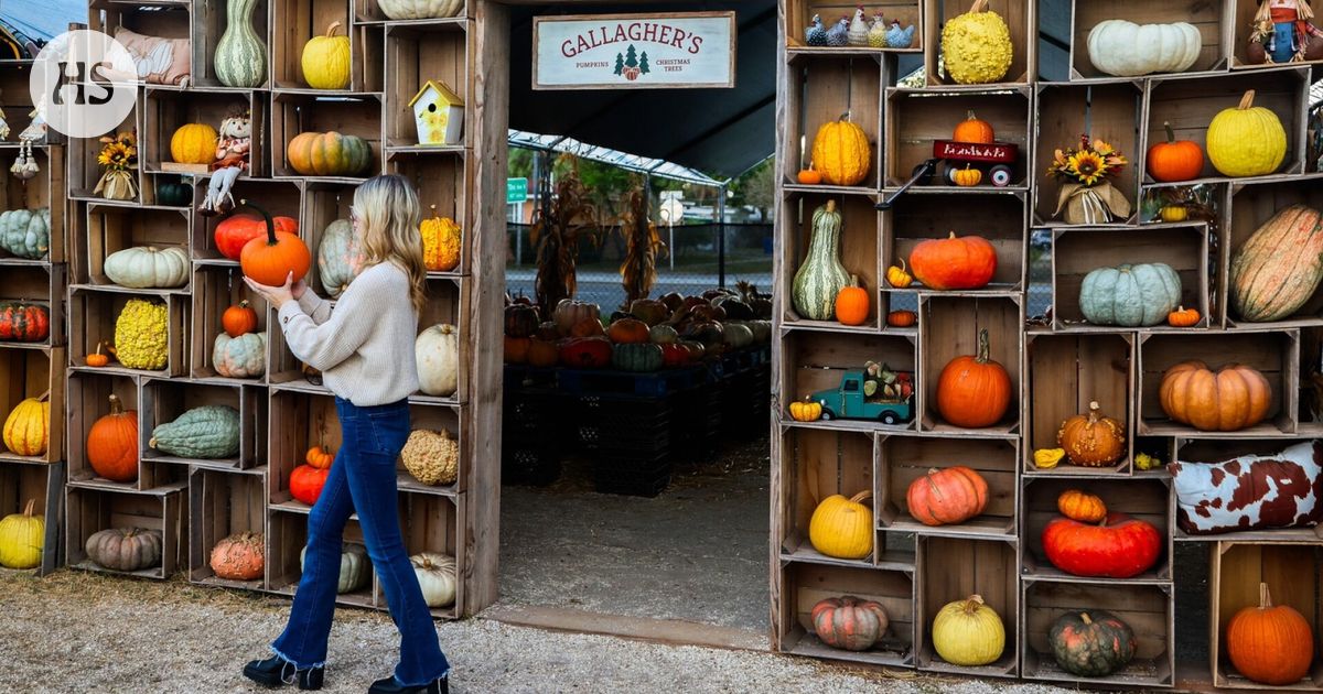 Amerikkalaiset käyttävät tänä vuonna ennätyssumman halloween-juhlintaan