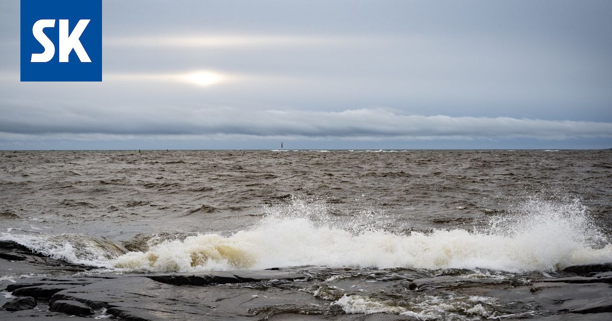 Luonto dominoi Itämeren tilaa, ei ihminen
