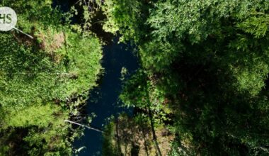 Turvallisuus | Voisiko suo estää tunkeutujan? Puolustus kiinnostui - HS.fi