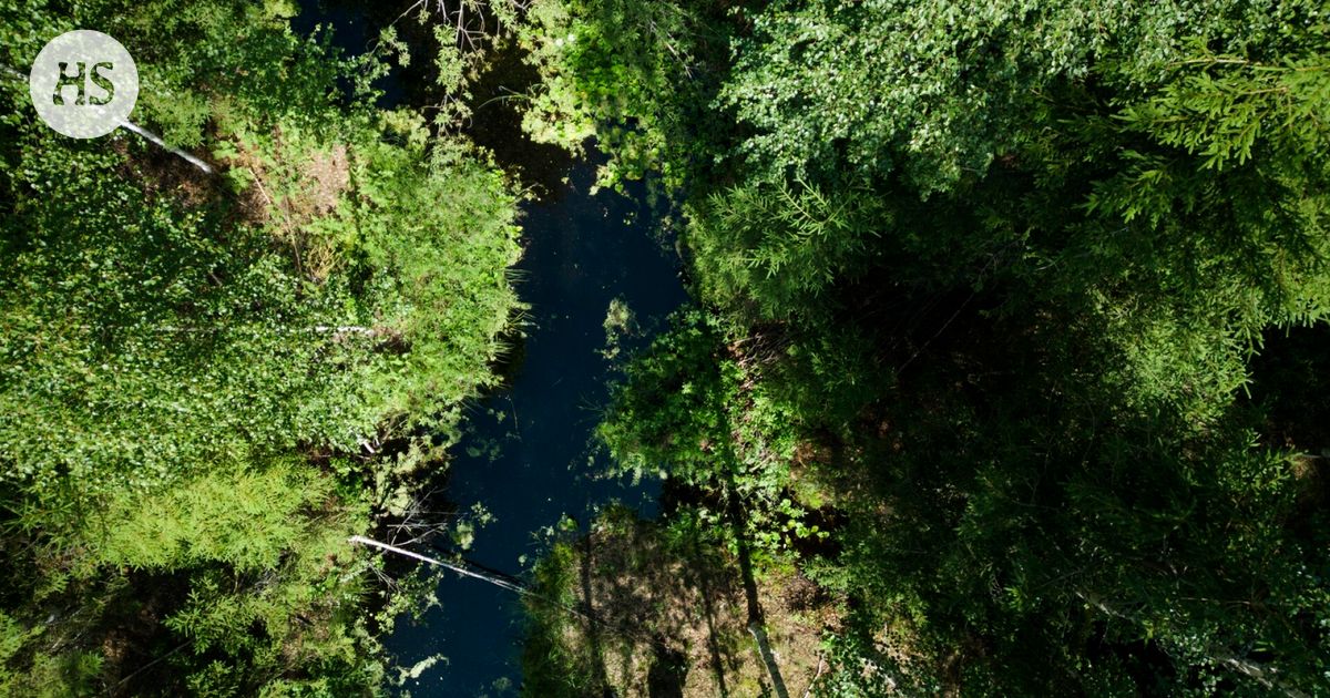 Turvallisuus | Voisiko suo estää tunkeutujan? Puolustus kiinnostui - HS.fi