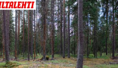 Metsästäjä teki järkyttävän löydön Luumäellä – Selvisikö 62-vuotiaan naisen kohtalo?