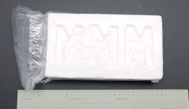 Lahden rikollis­ryhmälle tuomiot: Jopa 13 vuotta vankeutta – huumeita ja aseita maastokätkössä | Kotimaa