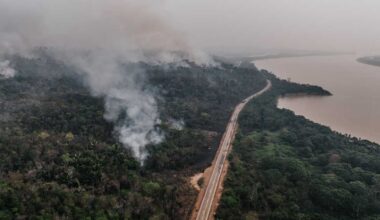 Brasilian Amazonin metsäkato alhaisimmalla tasolla yli vuosikymmeneen | Uutisia lyhyesti