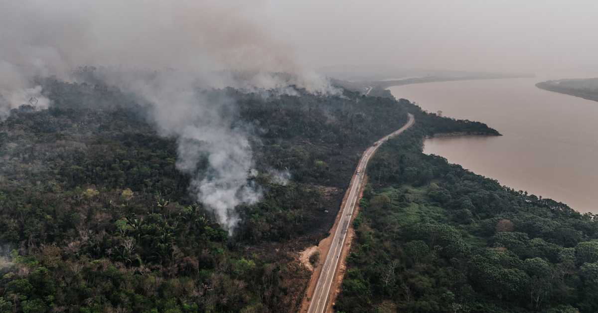 Brasilian Amazonin metsäkato alhaisimmalla tasolla yli vuosikymmeneen | Uutisia lyhyesti