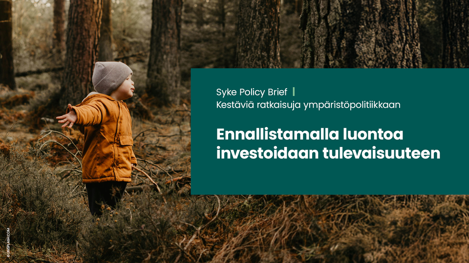 Suomen luonnon ennallistaminen on investointi tulevaisuuteen