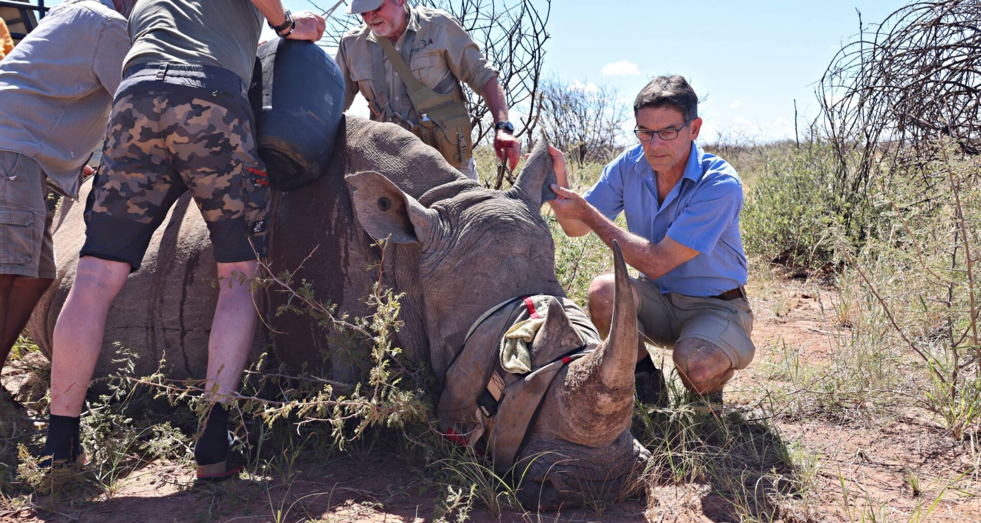 Näin toimii eläinten internet – Eläinten käytös voi paljastaa tulevat maanjäristykset