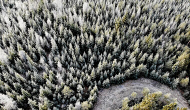 Riikilä | Luonnonvarojen ylikulutusta vai huuhaan ylituotantoa?