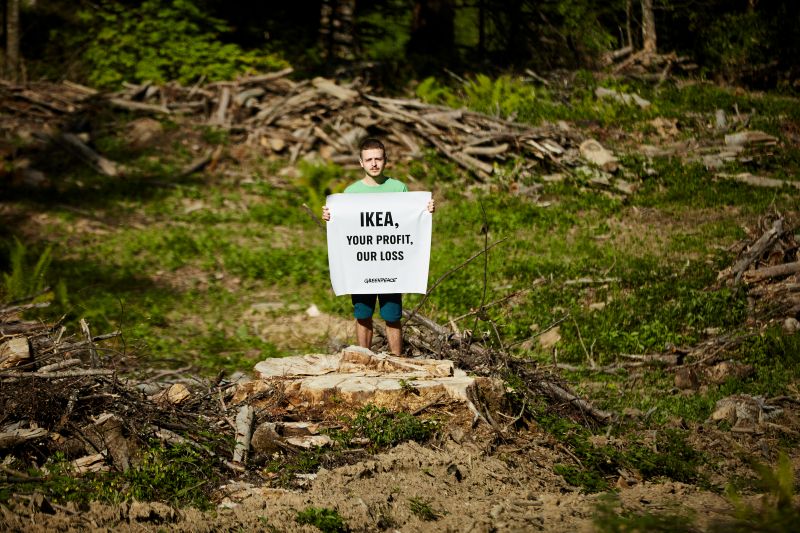 Selvitys: Ikea vaarantaa Euroopan viimeiset luonnonmetsät