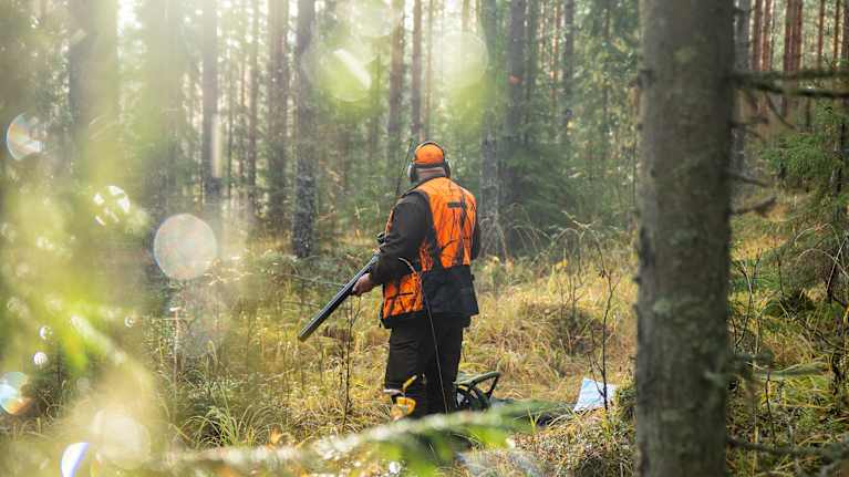 Metsästäjä aseen kanssa metsässä.