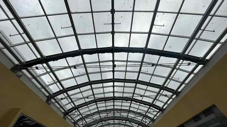 Kauppakeskuksen lasikatto, jonka päällä on linnunkakkaa.