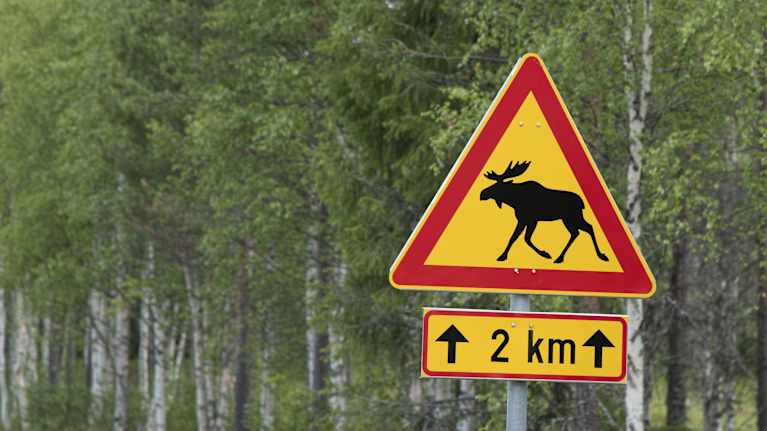 Hirvivaroitusmerkki.