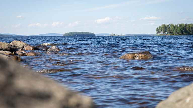 Pielisen rantakiviä aurinkoisena kesäpäivänä.