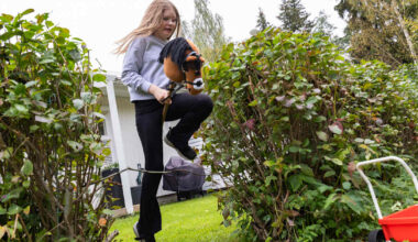 Tiina Viimanin lapset ovat joutuneet luopumaan satojen eurojen harrastuksista: ”Kyllä tämä luo paljon epätasa-arvoa” | Talous