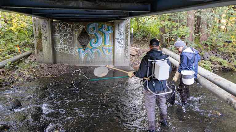 Kaksi miestä seisoo joessa. Toisella selässä valkoinen laatikko ja käsissä haavi sekä varren päässä oleva metallinen silmukka. Toisella haavi ja valkoinen ämpäri.