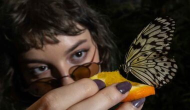 ”Yksi väärä tykkäys ja olisin jäänyt kiinni” – Marta, 18, kertoo elämästä Venäjän miehityksen alla | Ulkomaat