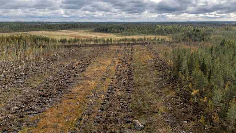 Ilmakuva ennallistetusta suoalueesta, taustalla näkyy myös luonnontilassa oleva ojittamaton suo.