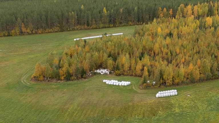 Ilmakuvassa ruskainen maisema ja peltoja, joilla pyöröpaaleja rivissä.