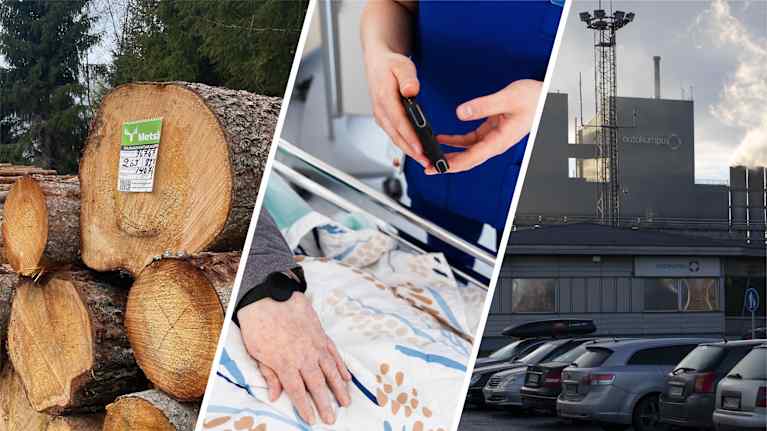 Kuvakollaasi, jossa Metsän merkkaama puupino, hoitaja ja Outokummun terästehdas.